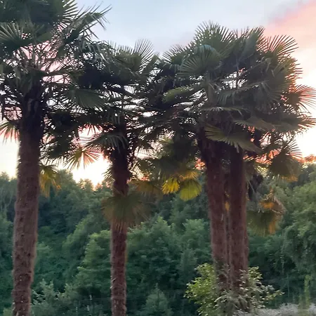 Oasi Del Silenzio A * Piea