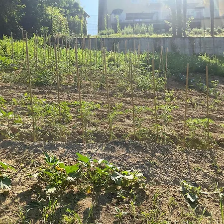 Tatil Evi Oasi Del Silenzio A Piea