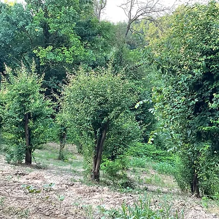 Vakantiehuis Oasi Del Silenzio A