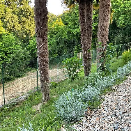 Oasi Del Silenzio A * Piea