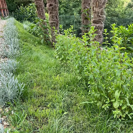 Oasi Del Silenzio A Tatil Evi *