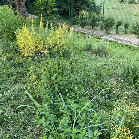 Oasi Del Silenzio A Tatil Evi *