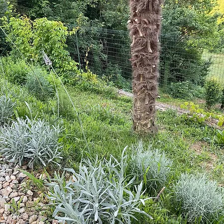 Oasi Del Silenzio A Tatil Evi Piea