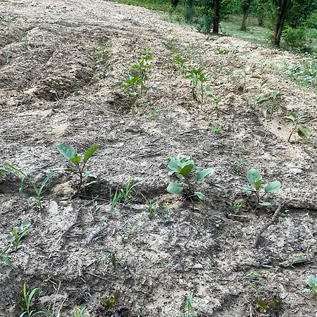 Oasi Del Silenzio A Vakantiehuis Piea